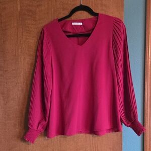 Elegant Burgundy V-Neck Blouse